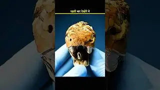 snake glottis #shorts #viral #trending