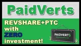 PaidVerts Full Guide