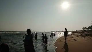 Nonagama beech