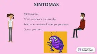 PTHIRUS PUBIS O LADILLA P&Uacute;BICA