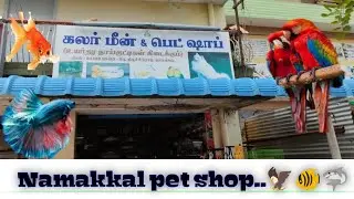 Namakkal Pet shop🐠🦅/Colour Fish Aquarium🐟/fish tank/pachai tamilan vlogs