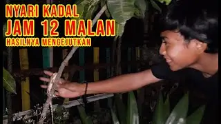 Nyari Kadal, Bunglon dan Calotes Liar Jam 12 Malam