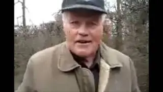 Streit der Organe - Wer ist hier der Boss...der Boss kann nur das...sein