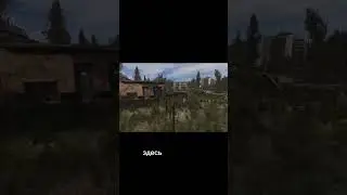 Сигнал ид&euml;т из детского сада #сталкер #gaming #прохождение #припять #shorts