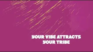Your Vibe Attracts Your Tribe