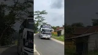 Jadi Kecanduan Sama Basuri Kids Panda 😍 #busmania #telolet