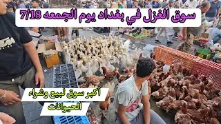 سوق الغزل في بغداد يوم الجمعه 7/18 اكبر سوق لبيع وشراء الحيوانات في العراق.