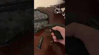 Taurus pt-22