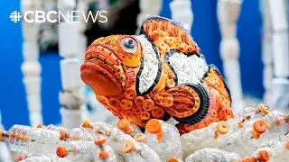 Life in plastic: Animal sculptures made from ocean debris