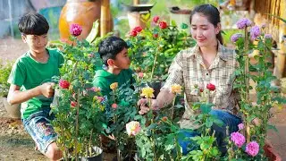 Restore my flower garden at home | Multi rose color plant with my brother | Sros yummy cooking vlogs