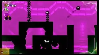 19. The Final Test - Wonder Gauntlet | Super Mario Bros. Wonder (No Commentary)