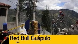 Guapulo Red Bull