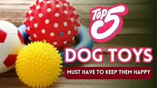 These 5 Dog Toys Will End Boredom Forever 🦴