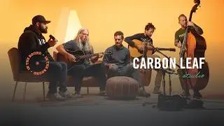 Carbon Leaf Performs 