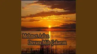 Duvara Mıh Çakarım