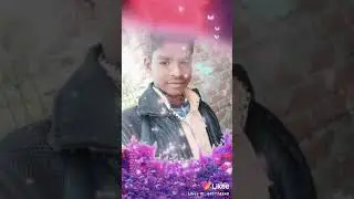 AYUSH mandal