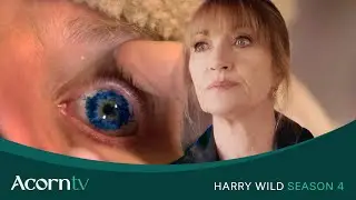 A Very Special New Episode | Harry Wild Season 4 | November 24 on Acorn TV