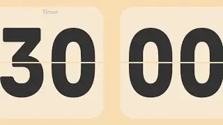 30 Minute Timer | Silent | No Countdown 