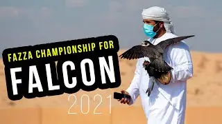Fazza Championship for Falconry &ndash; Live Prey | Birds | Falcon flying in Dubai | National bird of UAE