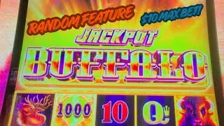 🚨Новая игра!🚨 Случайная функция Jackpot Buffalo при максимальной ставке 10 долларов!🔴 #казино #ви...