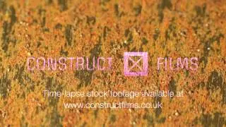Rust -- time-lapse stock footage