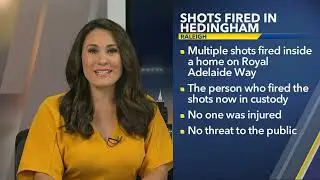Shots fired inside a house in the Hedingham neighborhood; 1 person in custody: Police