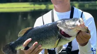 Bass Broke my New Rod in Half...(BIG BASS)