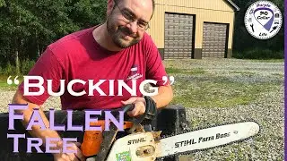 #50: &ldquo;Bucking&rdquo; a Tree in the woods with Stihl Chainsaw #purplecollarlife #outdoorgans