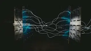 ZGOOT - Transition
