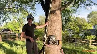 2 Pro Arborist Hacks Using a Blake's Hitch Knot - Damian Snyder's Community Expert Video