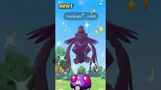 Finally I Got✨️Shiny Corviknight On Community Day Pokemon GO