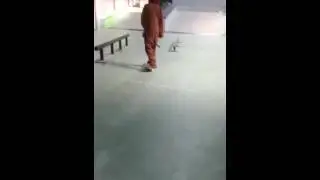 Skaten in paken