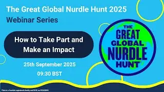 The Great Global Nurdle Hunt 2025 - How to take part and make an impact