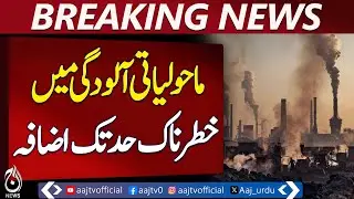 Dangerous Rise in Environmental Pollution Reported in Hasilpur - Aaj News Pakistan