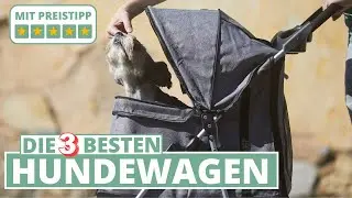 Die 3 besten Hundewagen - PawHut, Trixie & Petique