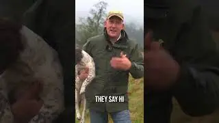 НЕ здоровайтесь со щенками.