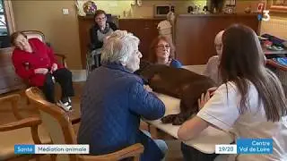 Chartres : médiation animale en EHPAD