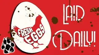 Fresh Farm Eggs Laid Daily! Sustainment on the Homestead.