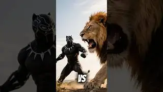Black Panther VS Wild Animals ( Lion , Tiger , Hyena , Black Wolf )
