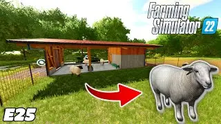 Buying The Sheep! | Farming Simulator 22 - Organic Farming Challenge | E25