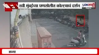 Fox Navi Mumabi। नवी मुंबईच्या घणसोलीत कोल्ह्याचं दर्शन, जेरबंद करावं, नागरिकांची मागणी