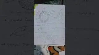 #stomata #practicalstomata#bsc2ndyear  #practical #botany #notes 😊😊