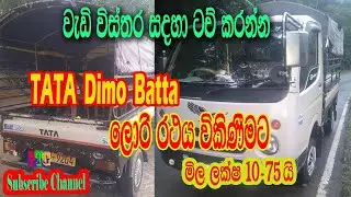 TATA Dimo Batta Lorry for sale