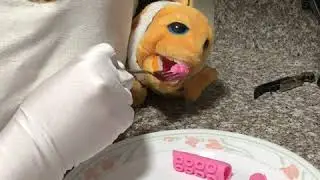 Long Furby Makes Sushi