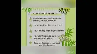 Benefits Of Neem Leaves