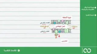 علوم الحياة والأرض  ثانية بكالوريا|  الأكسدة التنفسية
