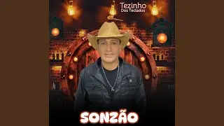 Sonz&atilde;o
