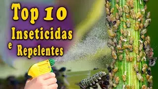 Top 10 Melhores Inseticidas e Repelentes org&acirc;nicos (COM RECEITAS)