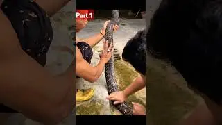 Jagad muda vs feeguso