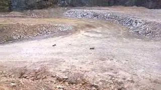 Kyosho DBX vs. DRX